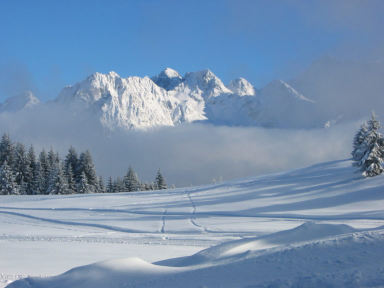 Paysage des pistes de ski du domaine du ski club du Barioz