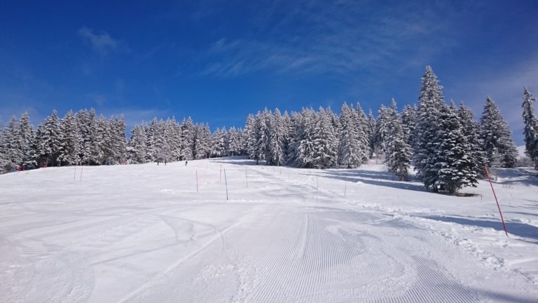 Piste de ski du club sur le domaine du ski club du Barioz