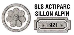 SLS Sillon Alpin